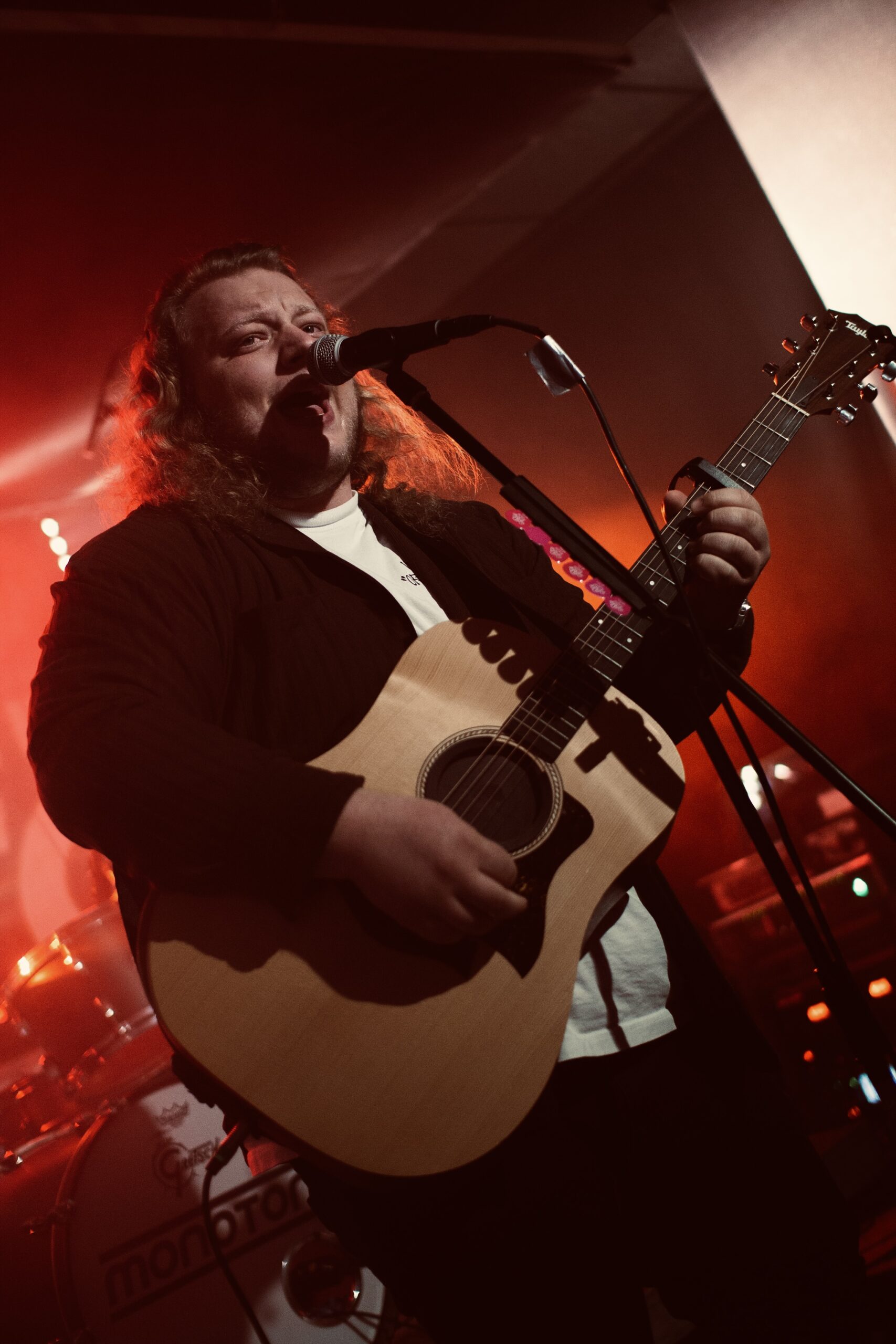 Solo Artist Pick ©2025StevenScholz
